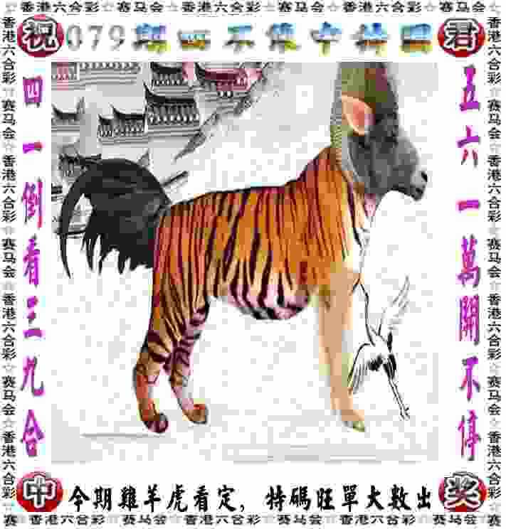 2019·第二届单车嘉年华在合肥市南岗镇激情开赛